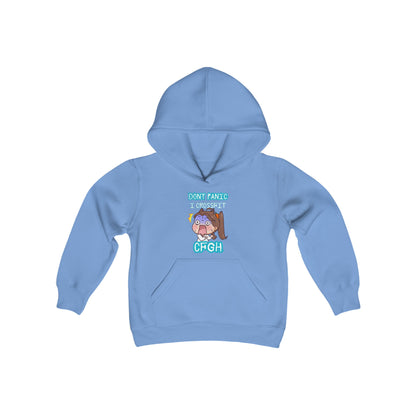 Youth Heavy Blend Hooded Sweatshirt